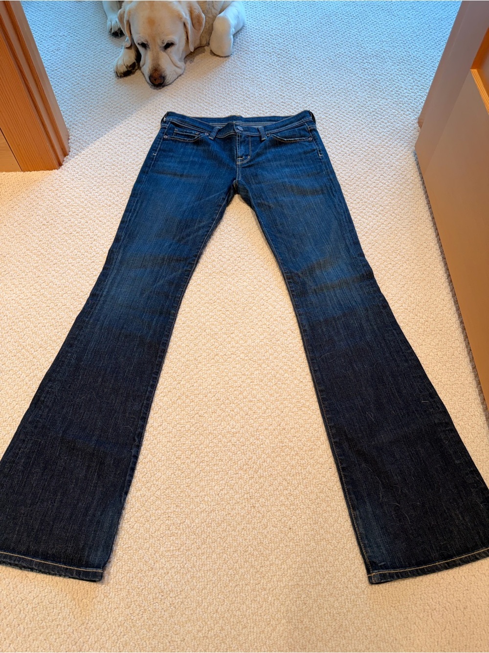 Vintage Citizens of Humanity Ingrid 002 Low Rise Flare Jeans Size 28